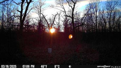 PICT0917.JPG
