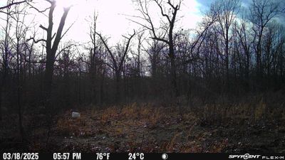 PICT0971.JPG