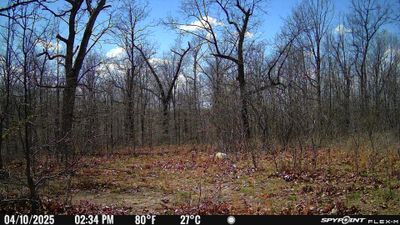 PICT1131.JPG