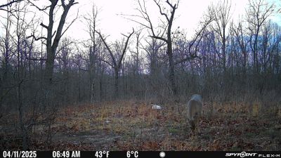 PICT1140.JPG