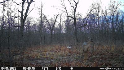 PICT1141.JPG