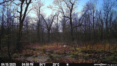 PICT1170.JPG