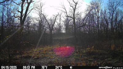 PICT1171.JPG