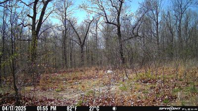 PICT1201.JPG