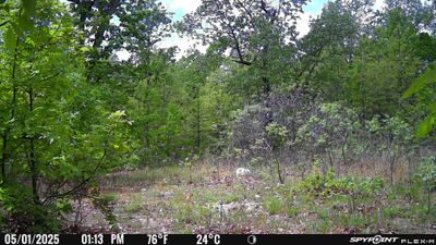 PICT1307.JPG