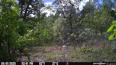 PICT1309.JPG