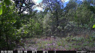PICT1311.JPG