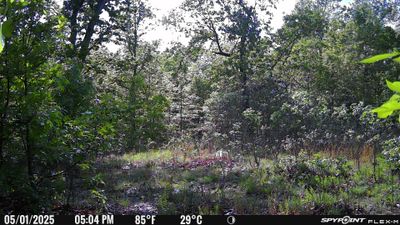 PICT1314.JPG
