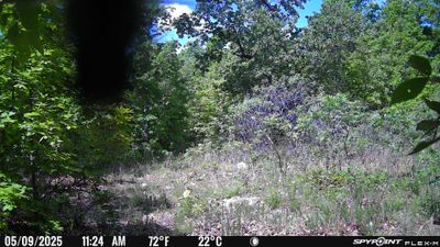 PICT1413.JPG