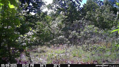 PICT1441.JPG