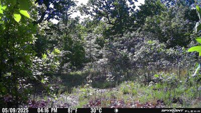 PICT1459.JPG