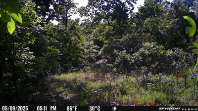PICT1472.JPG