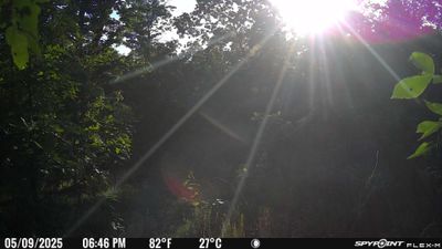 PICT1479.JPG