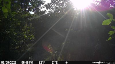 PICT1480.JPG