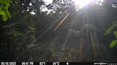 PICT1539.JPG
