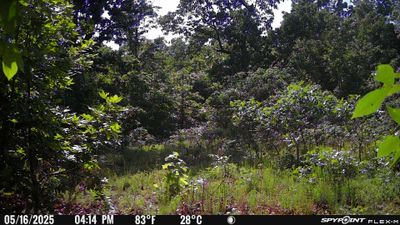 PICT1602.JPG