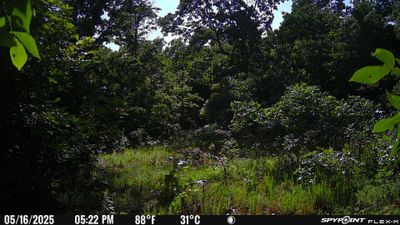PICT1704.JPG