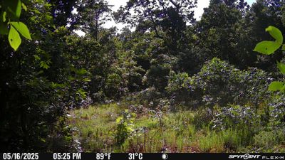 PICT1711.JPG
