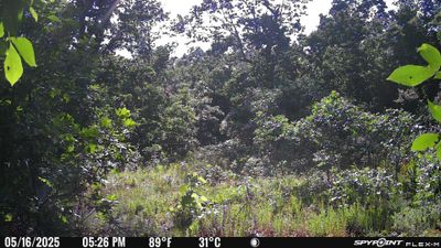 PICT1712.JPG
