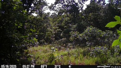 PICT1714.JPG