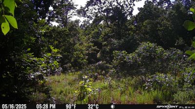 PICT1716.JPG