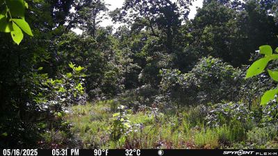 PICT1722.JPG