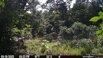 PICT1726.JPG