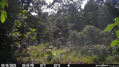 PICT1727.JPG