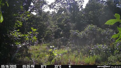 PICT1728.JPG