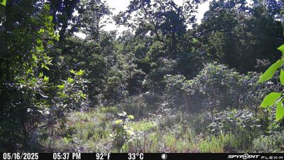 PICT1731.JPG