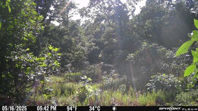 PICT1737.JPG