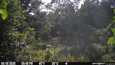 PICT1741.JPG