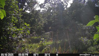 PICT1744.JPG