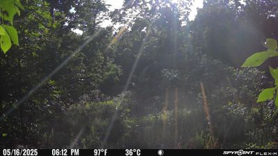 PICT1761.JPG