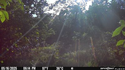 PICT1762.JPG