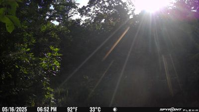 PICT1792.JPG