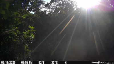 PICT1793.JPG