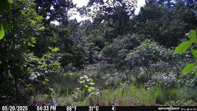 PICT2169.JPG