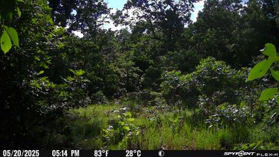 PICT2193.JPG