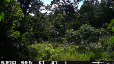 PICT2198.JPG