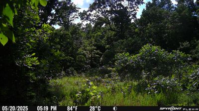 PICT2202.JPG