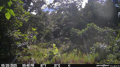 PICT2233.JPG