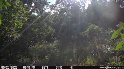 PICT2263.JPG