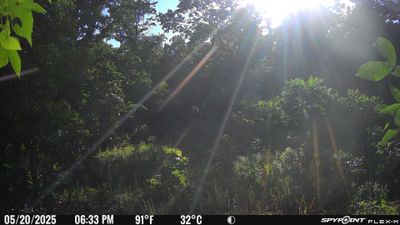 PICT2301.JPG