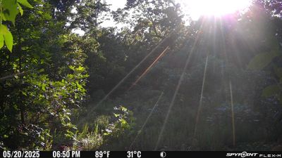 PICT2322.JPG