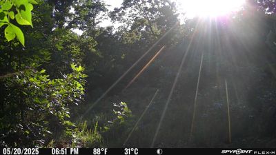 PICT2326.JPG