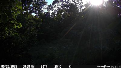PICT2333.JPG