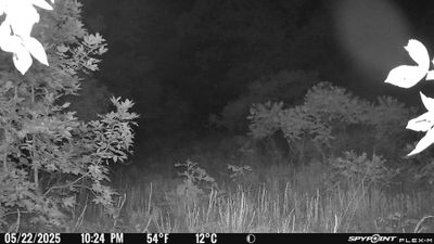 Cam2