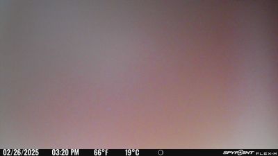 PICT0032.JPG