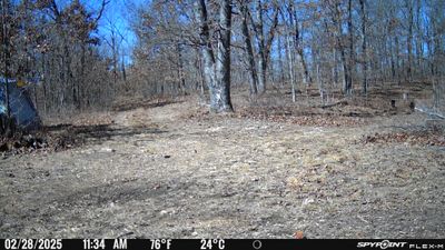 PICT0081.JPG
